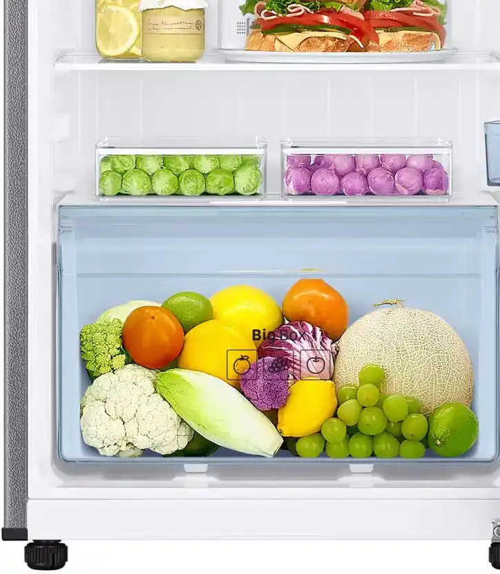 Samsung-256-L-Frost-Free-Convertible-3-in-1-Double-DOOR2-Star-Refrigerator-(Elegant-Inox)-(RT30C3732)