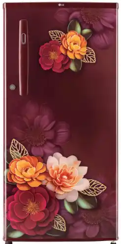 LG 185L DIRECT COOL SINGLE DOOR REF GL-B199ORKD.ARKZEBN (185 LTR