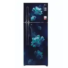 LG-240-L-2-Star-Frost-Free-Inverter-Double-Door-Refrigerator-(Gl-,-Blue-Waterlily)-(S292SBWY.DBWZEBN)
