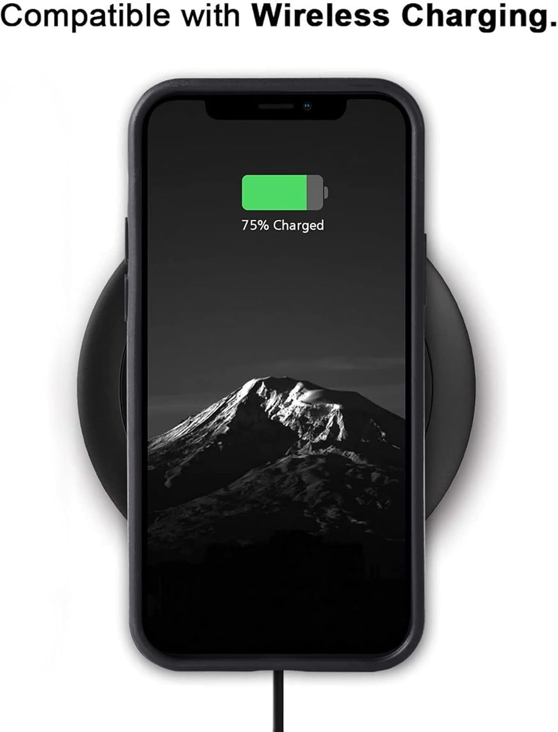 iPhone-11---Apple---Plan-X-2024---Back-Case---Leather