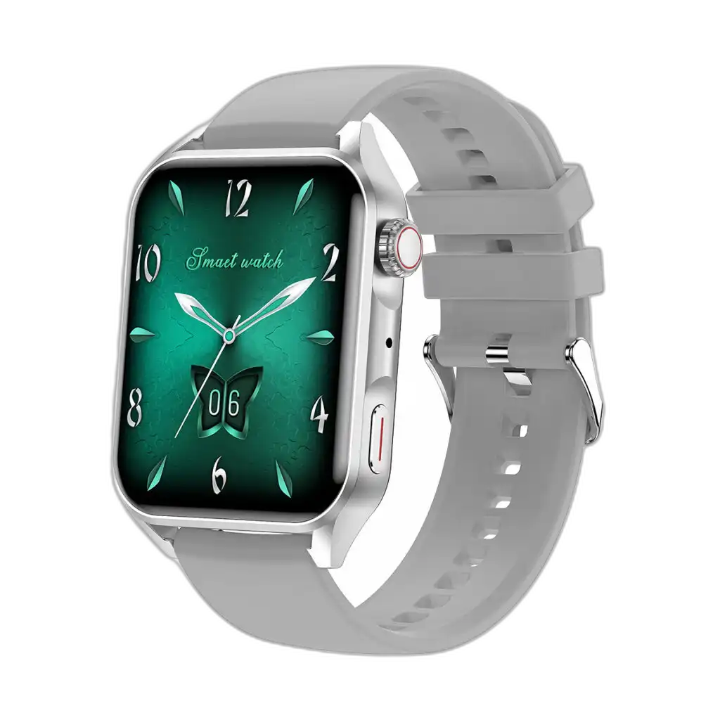 Swiss-Miltary-Vega-BT-Calling-AMOLED-Smart-Watch-(Silver+grey)